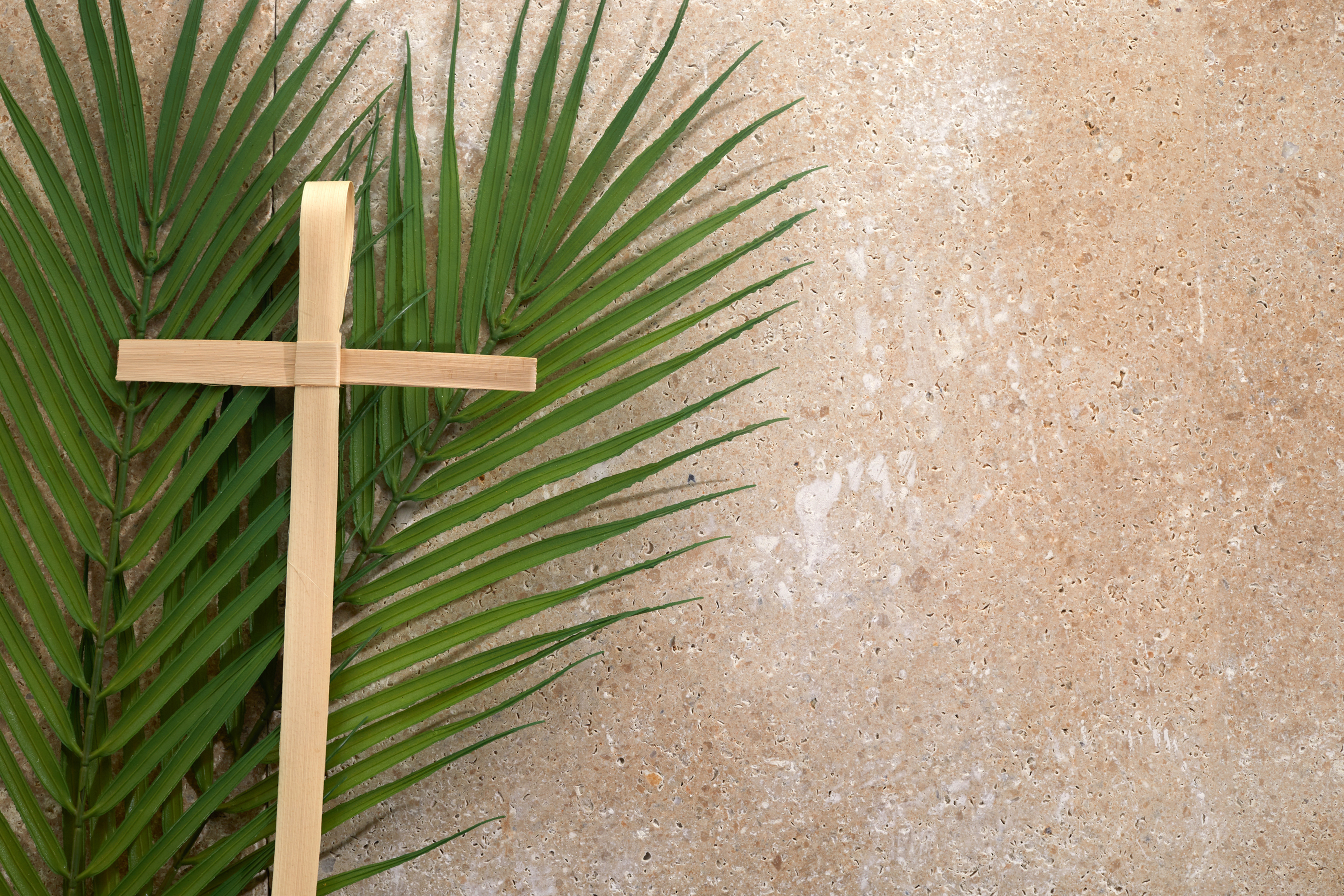 Palm Cross and Palm Leaves. Palm Sunday and Easter Day Concept.